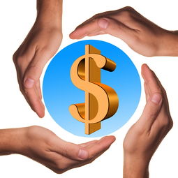 milanAPP下载入口官网-体育教学中增强现实与虚拟现实融合应用，结合教学实践谈谈示范在体育教学中的运用